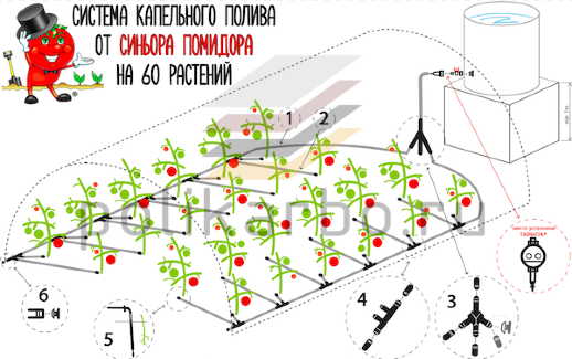 Система капельного полива от Синьора Помидора без автоматики