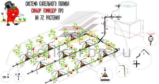 Система капельного полива СИНЬОР ПОМИДОР ПРО на 72 растения
